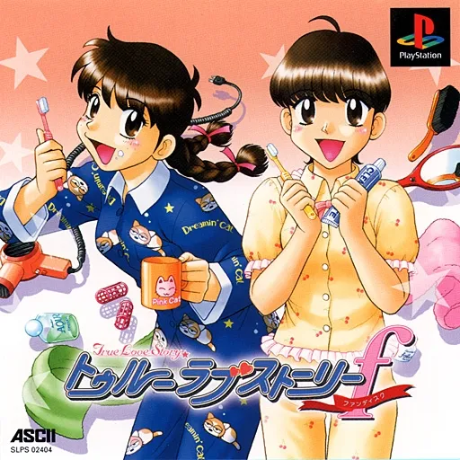 True Love Story Fan Disc (Japan)